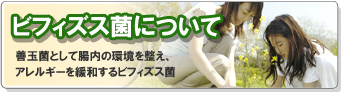 ビフィズス菌について