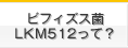 プロバイオティクス	ビフィズス菌LKM512って？